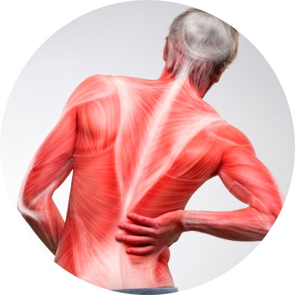 As costas são uma fonte comum de dores musculares e articulares para a maioria das pessoas.